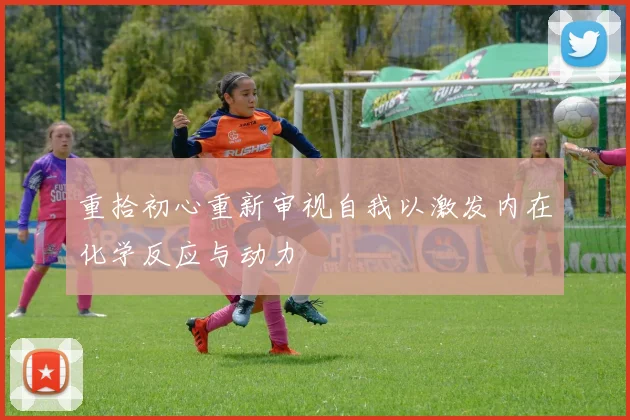 重拾初心重新审视自我以激发内在化学反应与动力