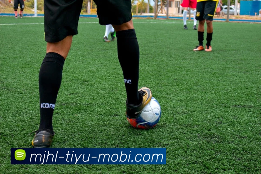 麻将胡了平台生态图